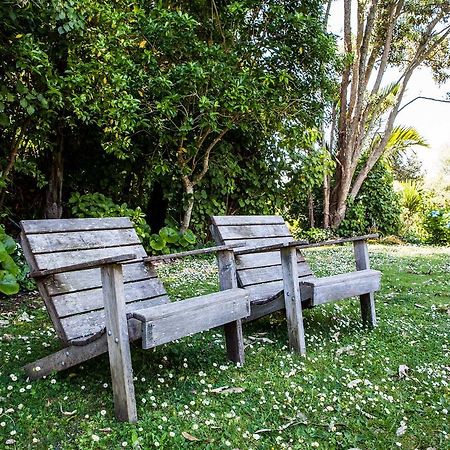 Amongst The Nikau Villa Waihi Bagian luar foto